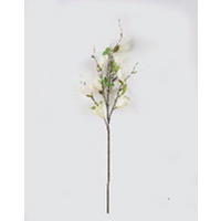 MŰNÖVÉNY - krémszínű/zöld, Basics, műanyag