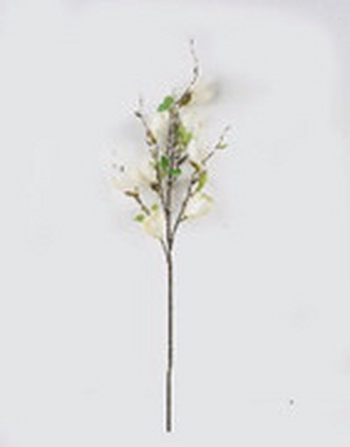 MŰNÖVÉNY - krémszínű/zöld, Basics, műanyag