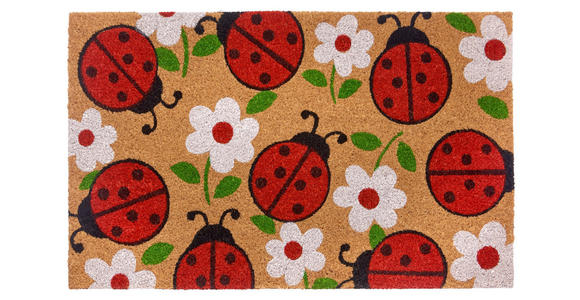 KOKOSMATTE 45/75 cm Mix Mats - Hellbraun/Multicolor, Basics, Naturmaterialien/Kunststoff (45/75cm) - Esposa