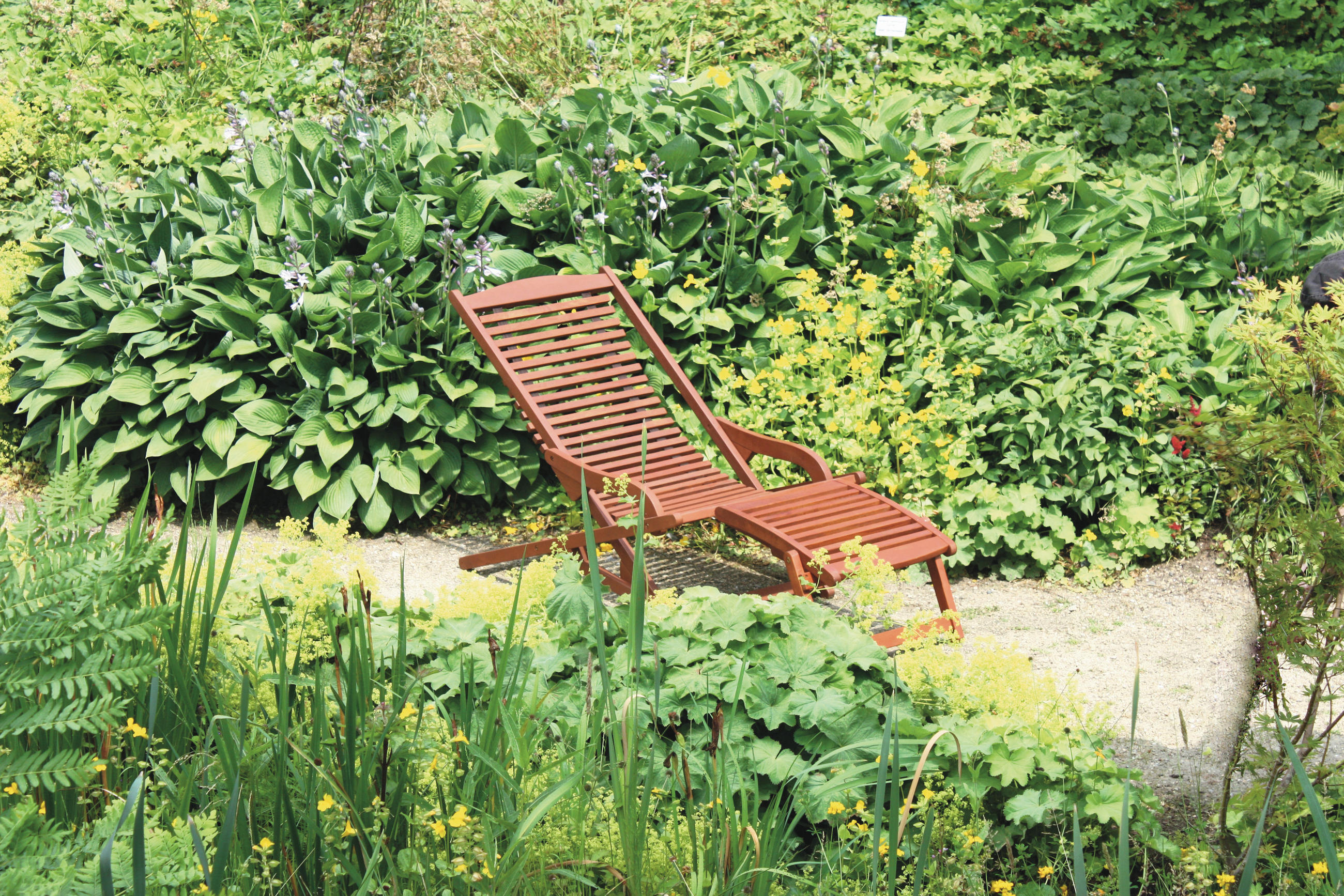 Gardenson Sonnenliege Braun 59.5x78x145 cm