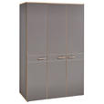 DREHTÜRENSCHRANK 3-türig Grau, Eichefarben  - Eichefarben/Grau, Design, Holz/Holzwerkstoff (136/210/61cm) - Venda