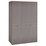 DREHTÜRENSCHRANK 3-türig Grau, Eichefarben  - Eichefarben/Grau, Design, Holz/Holzwerkstoff (136/210/61cm) - Venda