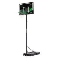 BASKETBALLSTÄNDER - Schwarz/Grün, KONVENTIONELL, Kunststoff/Metall (110/287-362/175cm) - Salta