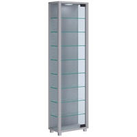 VITRINE in Silberfarben  - Transparent/Silberfarben, Design, Glas/Holzwerkstoff (33/113/18cm) - MID.YOU