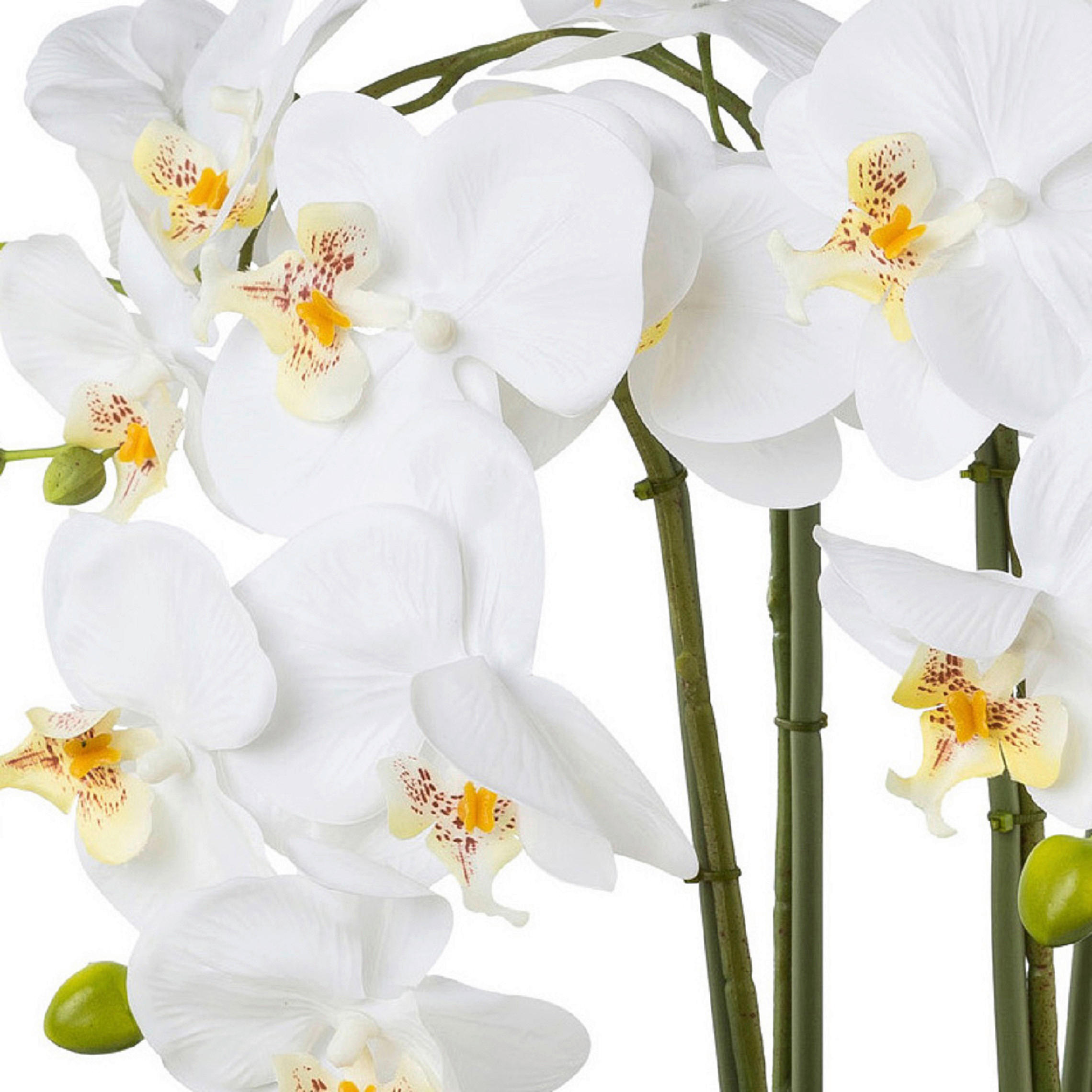 KUNSTPFLANZE Orchidee 41 cm  - Silberfarben/Weiß, Design, Keramik/Kunststoff (41cm) - P & B