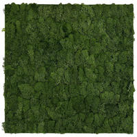 AKUSTIKPANEEL Modular Wall System Design Moos 52/52/4 cm  - Grün, KONVENTIONELL, Naturmaterialien (52/52/4cm) - Jangal