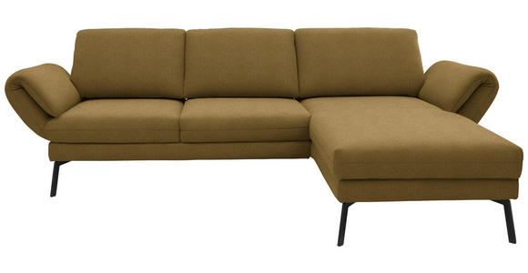 ECKSOFA  in Flachgewebe Schilfgrün  255-365/175-224 cm  - Schilfgrün/Schwarz, Design, Textil/Metall (255-365/175-224cm) - Dieter Knoll