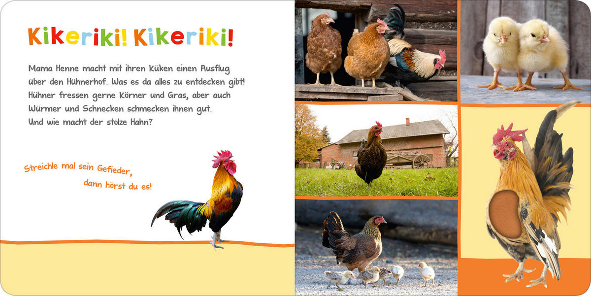 SOUNDBUCH - Basics (19,6/19,6/1,8cm)