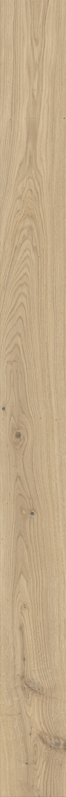 Landhausdiele Bergeiche pure  per  m² - Eichefarben/Weiß, Trend, Holz (180/17,5/1,1cm) - Waldwelt