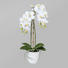 KUNSTPFLANZE Orchidee - Dunkelgrün/Weiß, Keramik/Kunststoff (43cm) KUNSTPFLANZE Orchidee - Dunkelgrün/Weiß, Keramik/Kunststoff (43cm)