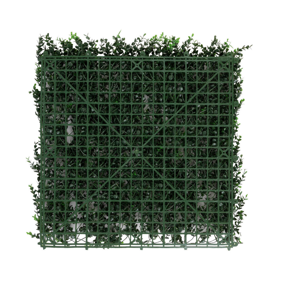 Wandverkleidung Pflanzenwand  Kunststoff  - Waldgrün, Trend, Kunststoff (50/50cm) - Floordirekt