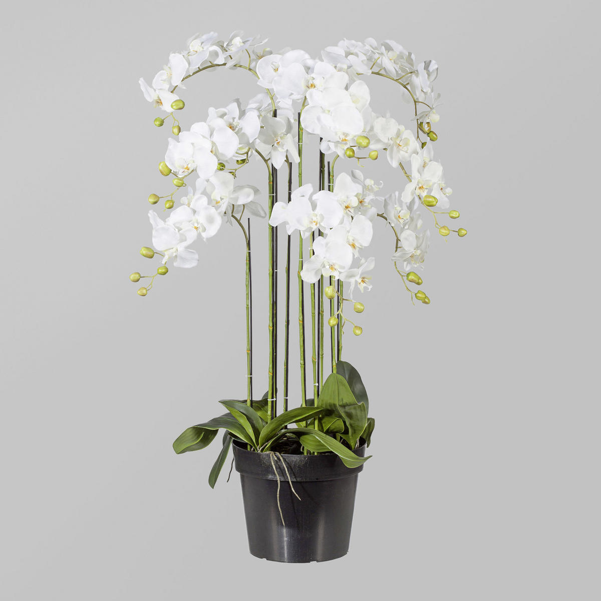 KUNSTBLUME Orchidee  - Weiß/Grün, Basics, Kunststoff (90cm) - P & B