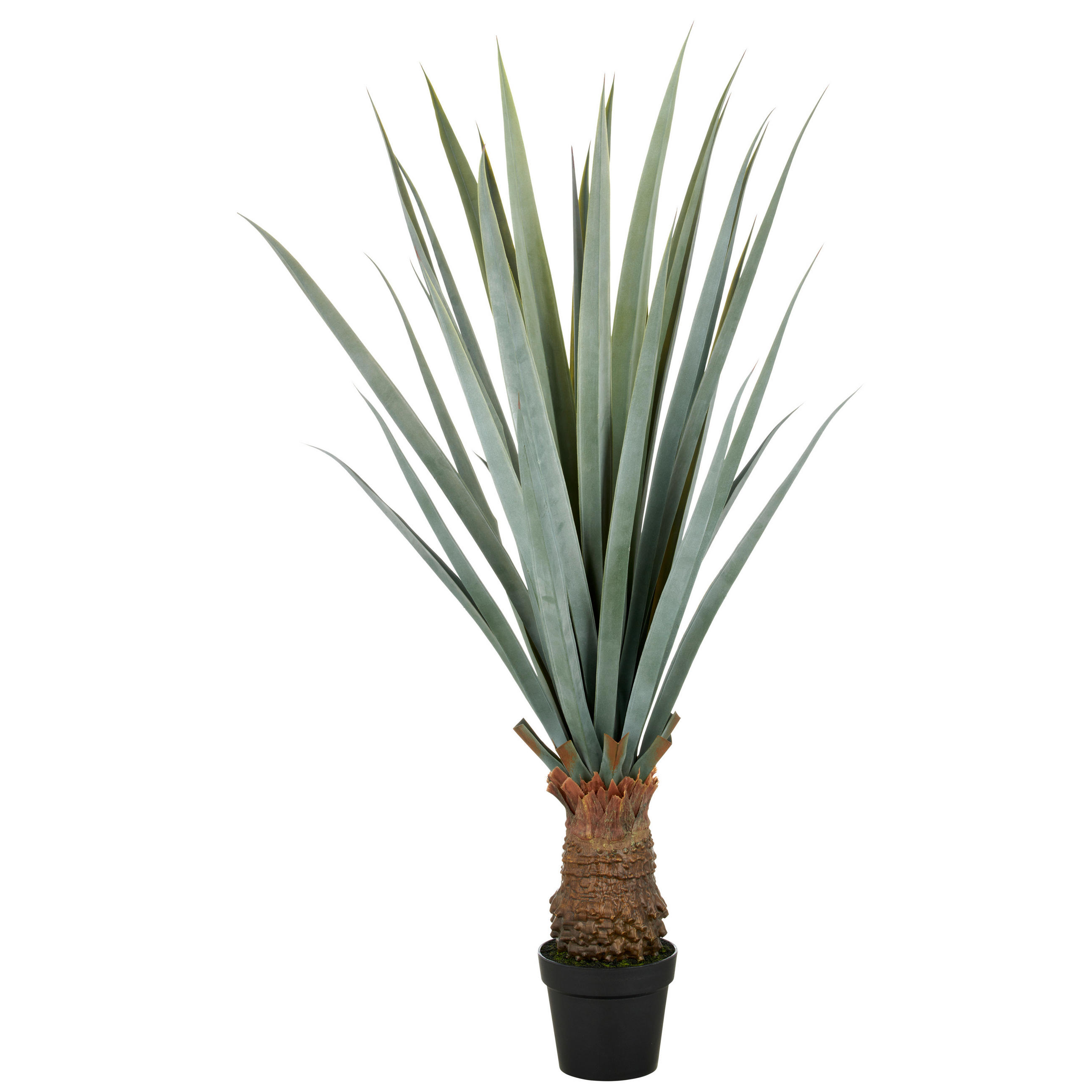 KUNSTPFLANZE Agave  - Grau/Grün, Basics, Kunststoff (25/150/25cm)
