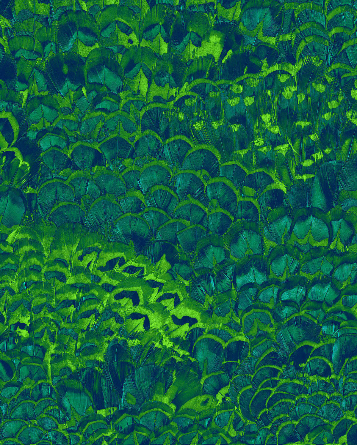 VLIESTAPETE - Grün, Trend (200/250cm)