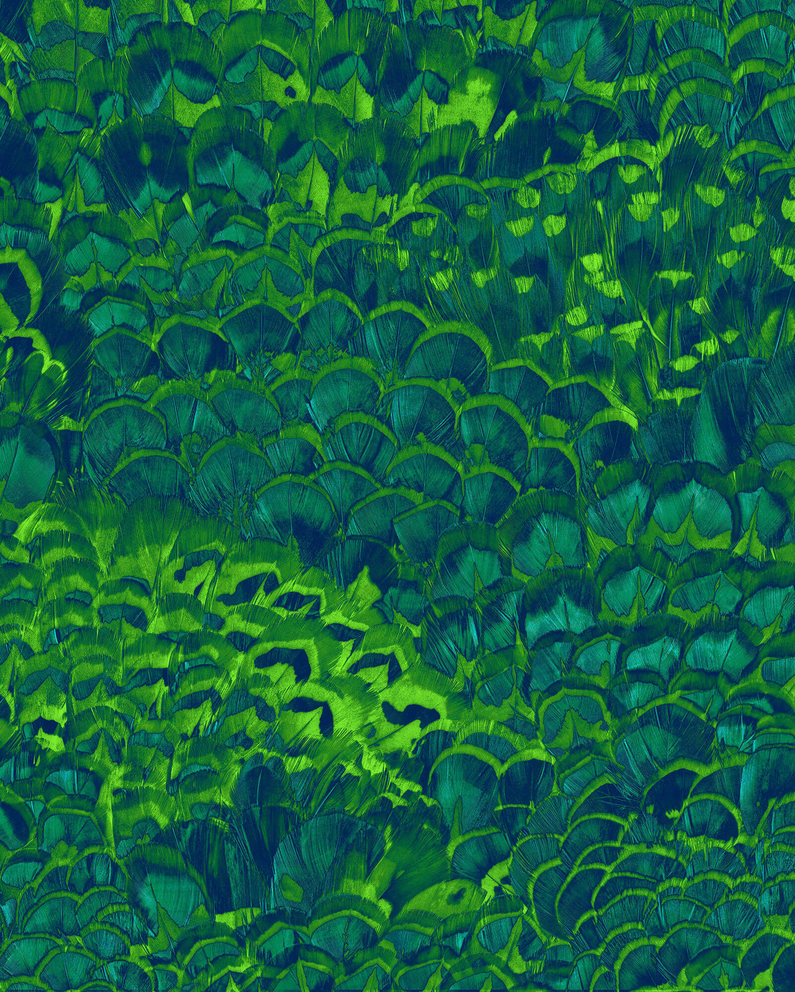 Komar Vliestapete Grün 200x250 cm