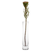 VASE Novara 24 cm  - Transparent, Basics, Glas (5/24/5cm) - Leonardo