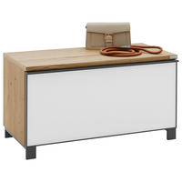 GARDEROBENBANK  in 84/45/40 cm  - Eichefarben/Anthrazit, Design, Glas/Holz (84/45/40cm) - Dieter Knoll