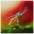GLASBILD - Multicolor, KONVENTIONELL, Glas (30/30/2cm) - EUROGRAPHICS