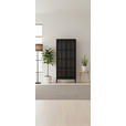 VITRINE  in Schwarz  - Schwarz, Design, Glas/Metall (80/180/35cm) - Xora