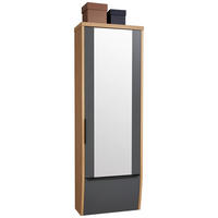 GARDEROBENSCHRANK  in 64/187/31 cm  - Eiche Bianco/Anthrazit, Design, Glas/Holzwerkstoff (64/187/31cm) - Dieter Knoll