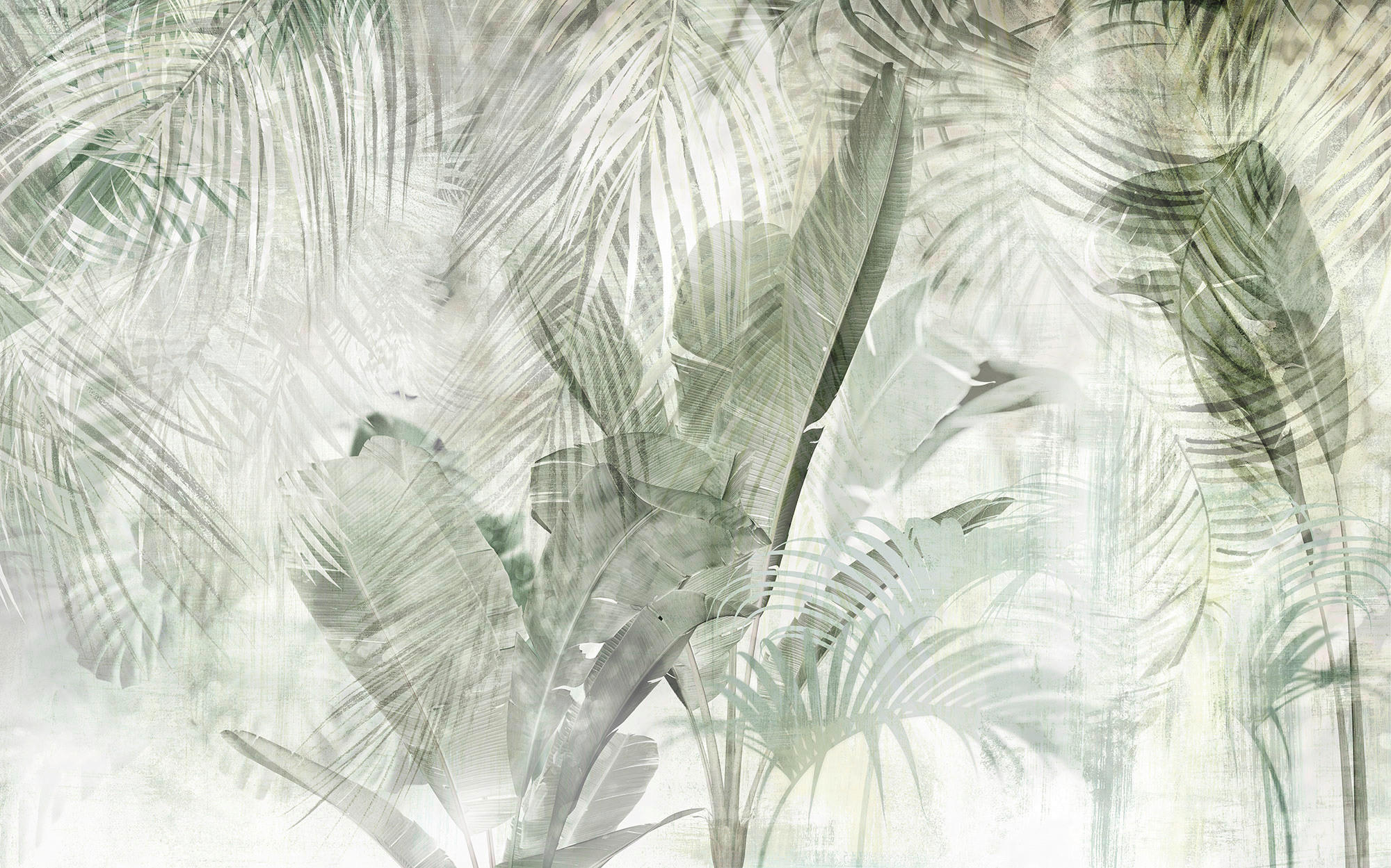 Xora Vliestapete Grün, Weiß 400x250 cm