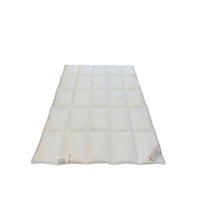 LEICHTDECKE  Dornröschen 140/200 cm 70 % Polyester, 15 % Lyocell (TENCEL™), 15 % Kapok  - Creme, Basics, Textil (140/200cm) - Schlafmond