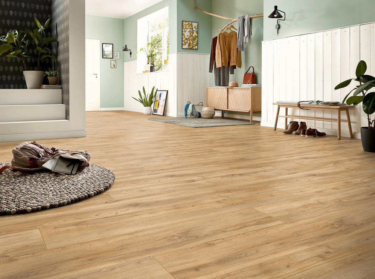 LAMINATBODEN Exquisit Plus  - Eichefarben, KONVENTIONELL, Holz (138.0/24.4/0.8cm)