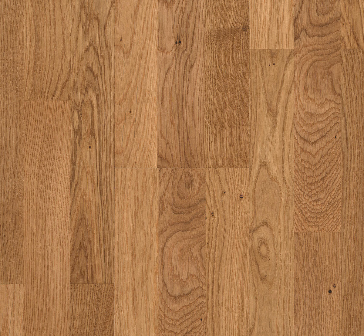 PARKETTBODEN Parkett Basic 11-5 Rustikal  per  m² - Eichefarben, Basics, Holz (220/18.5/1.15cm) - Parador