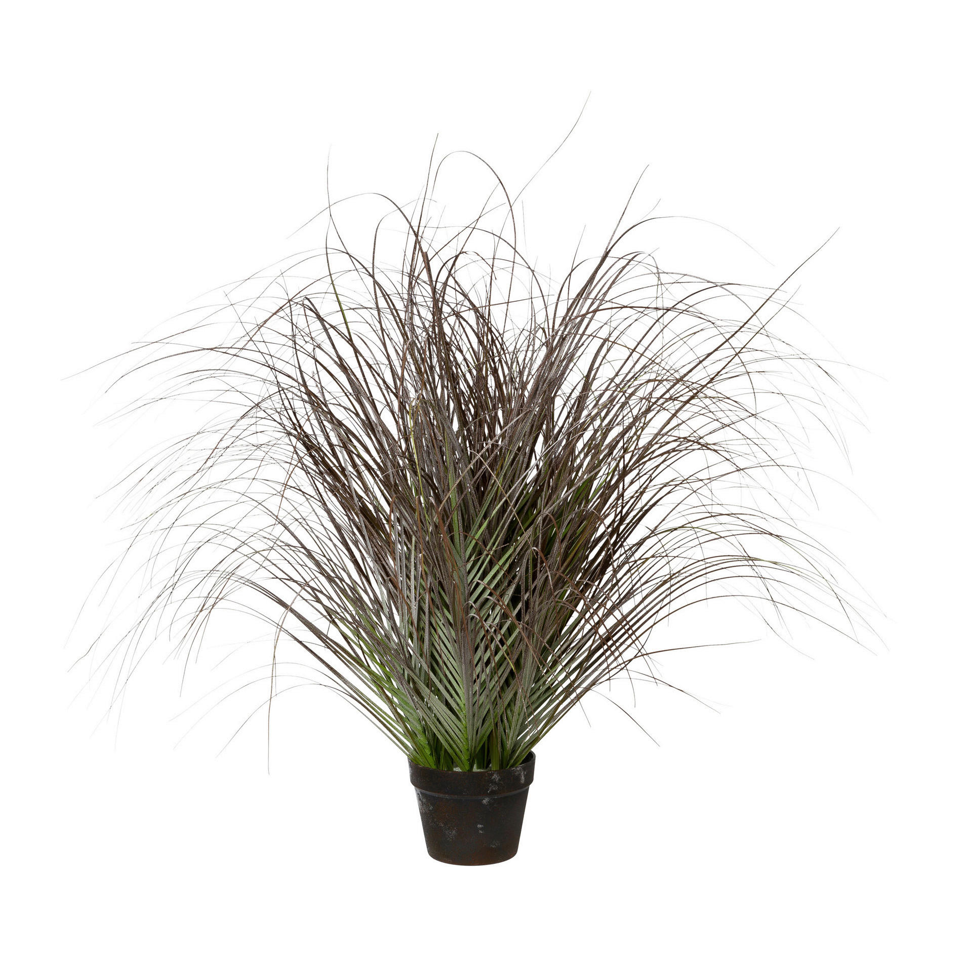 KUNSTPFLANZE Schilfgras 95 cm  - Schwarz/Grün, Trend, Kunststoff (95cm)