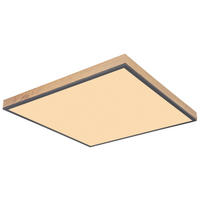 LED PANEL, 59/59/6.5 cm - opál/barvy grafitu, Basics, kov/plast (59/59/6.5cm) - Globo