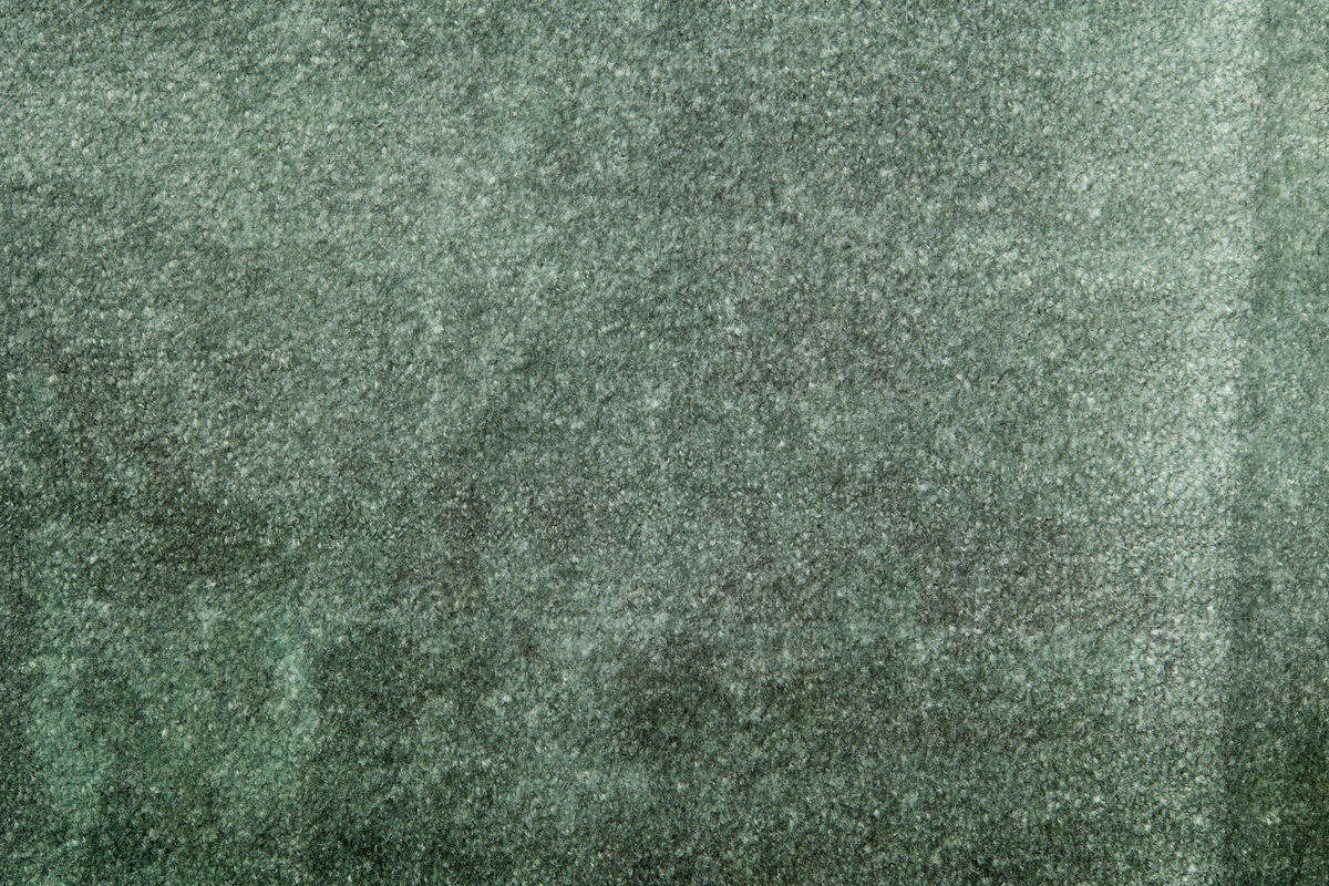FUSSMATTE - Waldgrün, Design, Kunststoff/Textil (50/70cm) - Schöner Wohnen