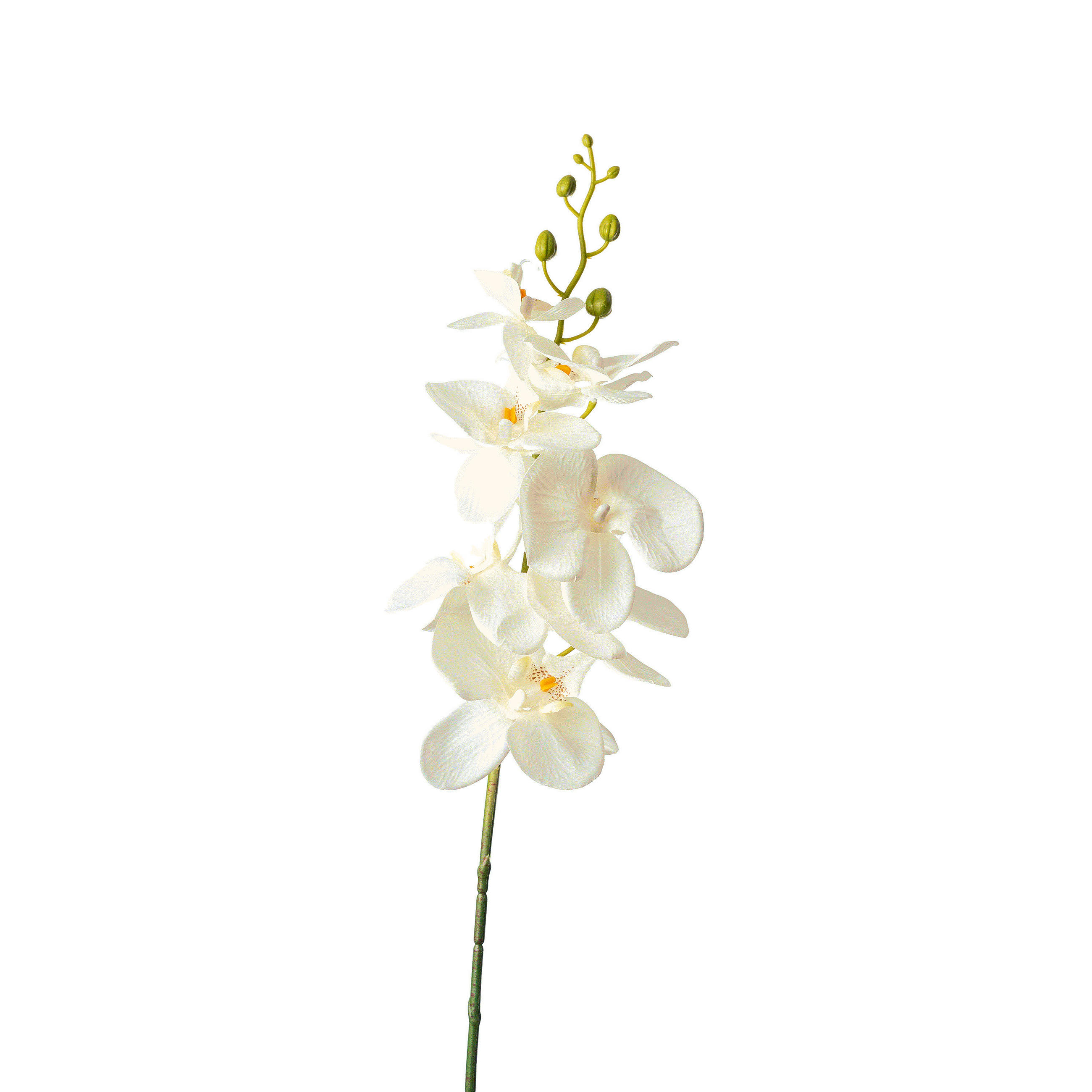 ORCHIDEE  - Weiß/Grün, Natur, Kunststoff (86cm)