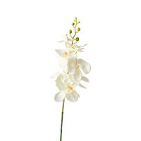 ORHIDEJA - zelena/bela, Natur, umetna masa (86cm)