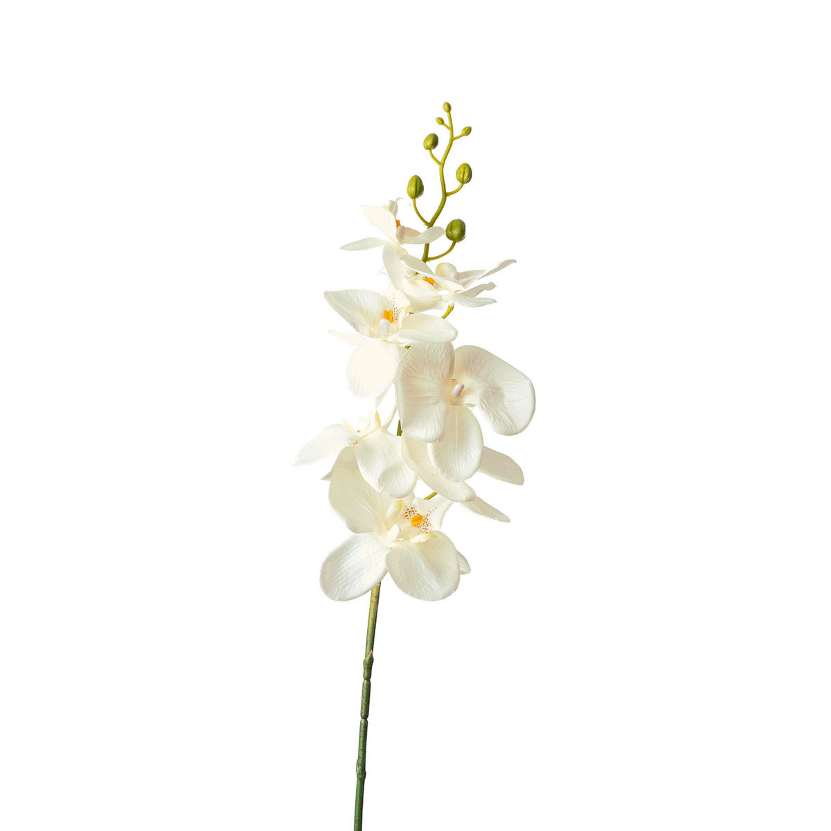 ORHIDEJA - zelena/bela, Natur, umetna masa (86cm)