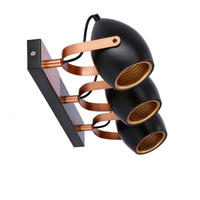 REFLEKTOR STROPNI  - crna, Design, metal (46/25/13cm)