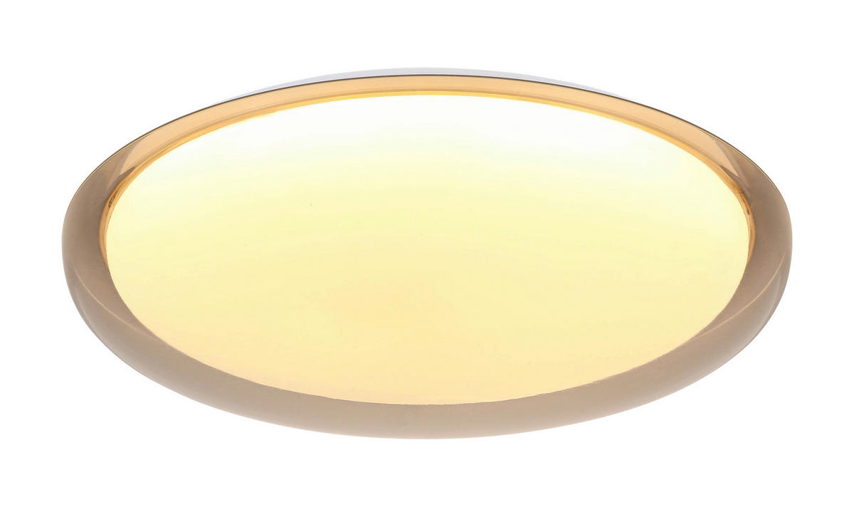 LED MENNYEZETI LÁMPA - áttetsző/fehér, Trend, műanyag/fém (50/9cm) - Novel