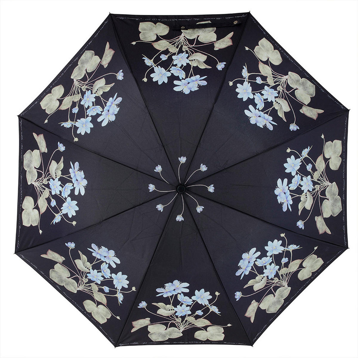 REGENSCHIRM Blue Anemone  - Schwarz/Dunkelblau, Basics, Holz/Textil (105cm)