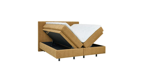 BOXSPRINGBETT 180/200 cm  in Bernsteinfarben  - Bernsteinfarben/Schwarz, KONVENTIONELL, Holz/Holzwerkstoff (180/200cm) - Dieter Knoll