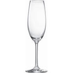 SEKTGLAS 228 ml  - Klar, Basics, Glas (0,230l) - Novel