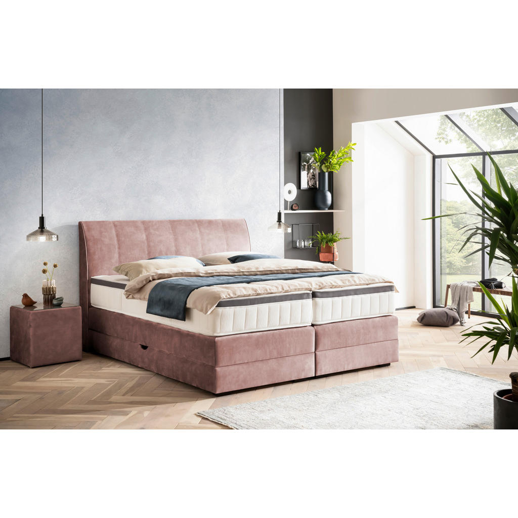 Thumbnail - Novel Boxspringbett, Hellrosa, Textil, Wenge, H3 + H4, 7-Zonen, Höhe ca. 27 cm, 160x200 cm, Bettkasten, Federkernmatratz...