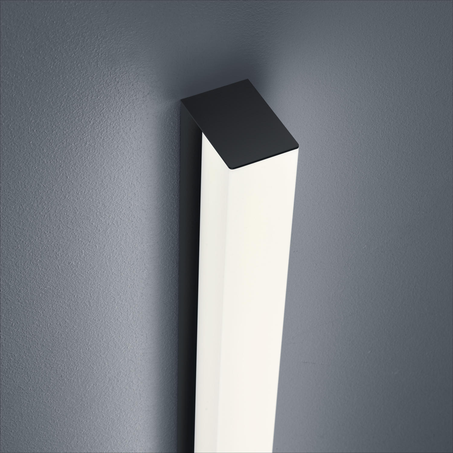 BADEZIMMER-WANDLEUCHTE - Schwarz, KONVENTIONELL, Kunststoff/Metall (6/4/60cm) - Helestra