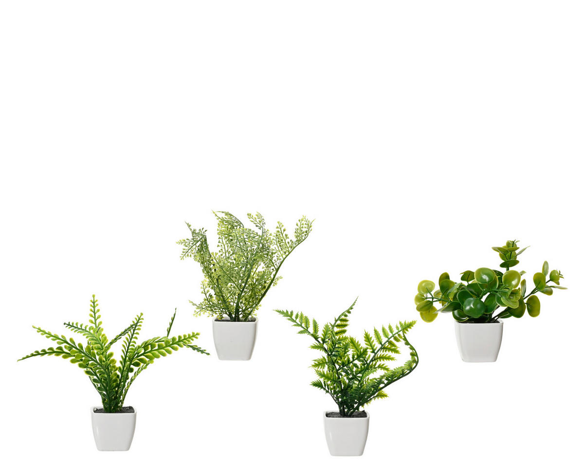 UMETNA RASTLINA   5/5/20 cm            - zelena/bela, Basics, umetna masa (5/5/20cm)