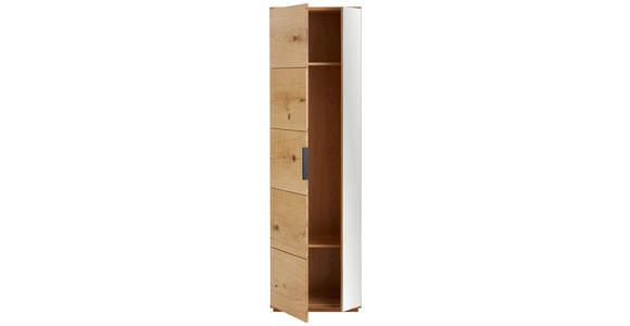 GARDEROBENSCHRANK 60/202/38 cm  - Eichefarben/Schwarz, Natur, Glas/Holz (60/202/38cm) - Linea Natura