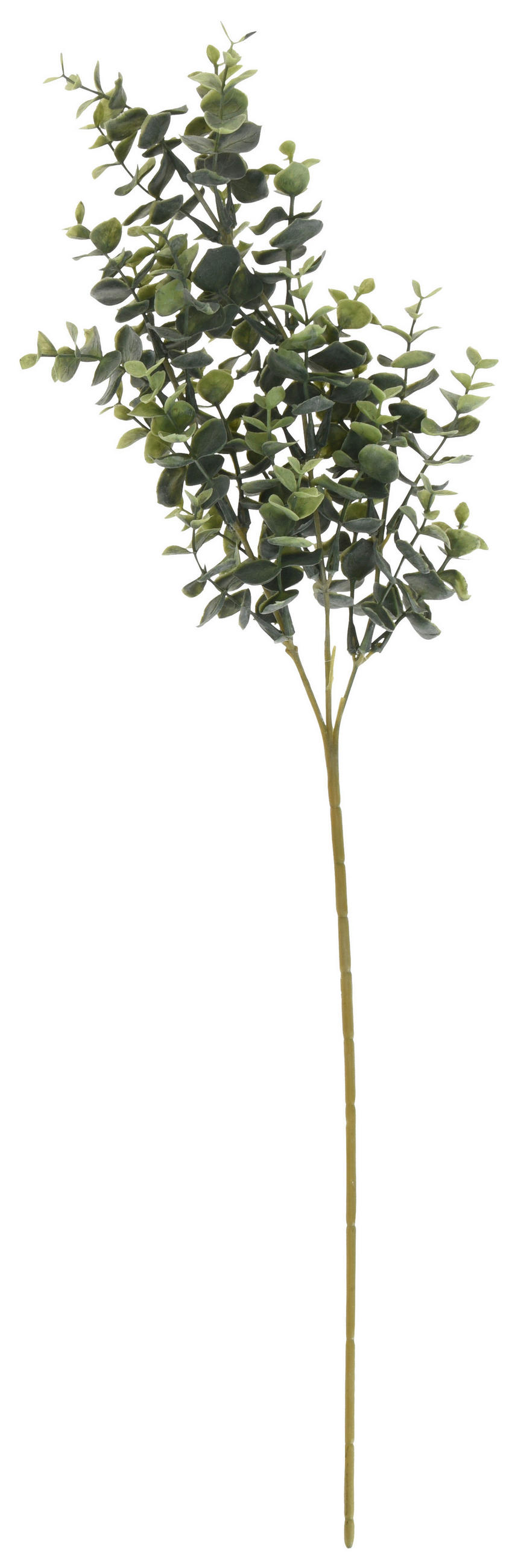 RAMURĂ DECORATIVĂ - verde, Basics, plastic (66cm)