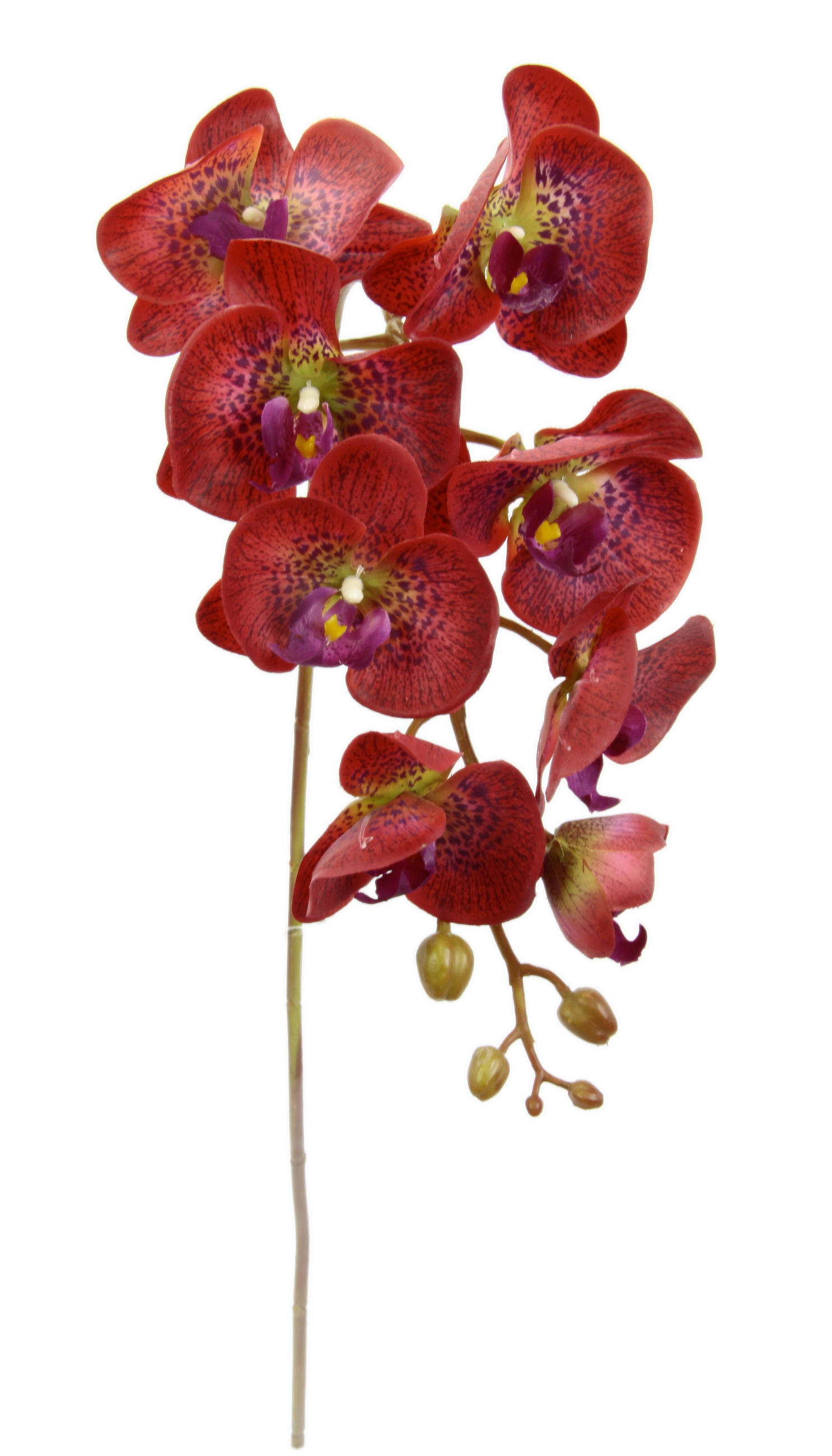 ORCHIDEE  - Rot, Basics, Textil (76cm)