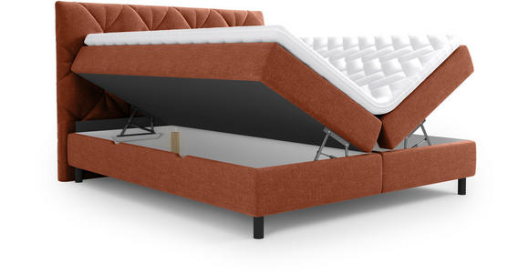 BOXBETT 180/200 cm  in Terracotta  - Terracotta/Schwarz, Design, Holz/Holzwerkstoff (180/200cm) - Esposa