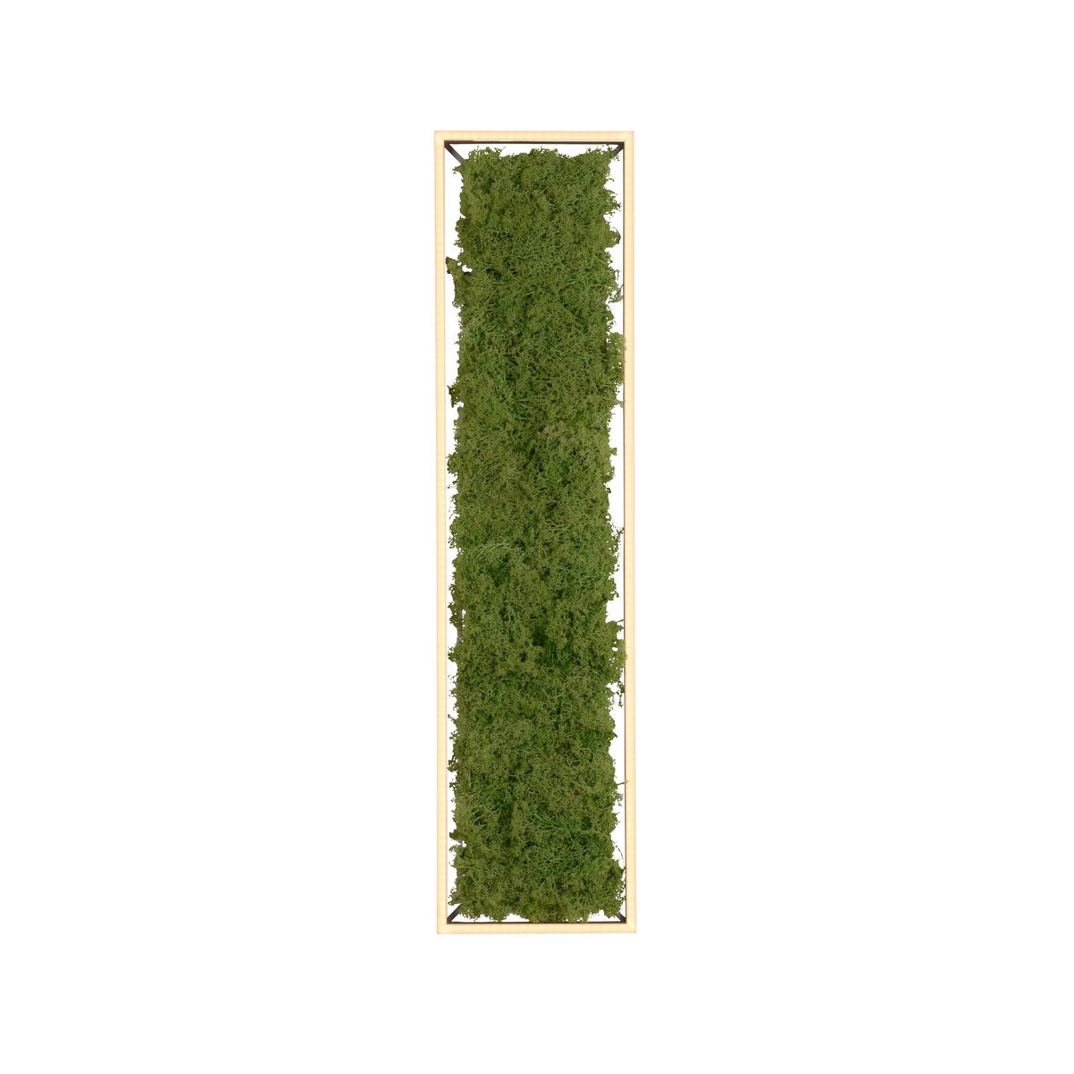 LED-DECKENLEUCHTE Knut 100/25/5,6 cm   - Natur, Naturmaterialien/Kunststoff (100/25/5,6cm)
