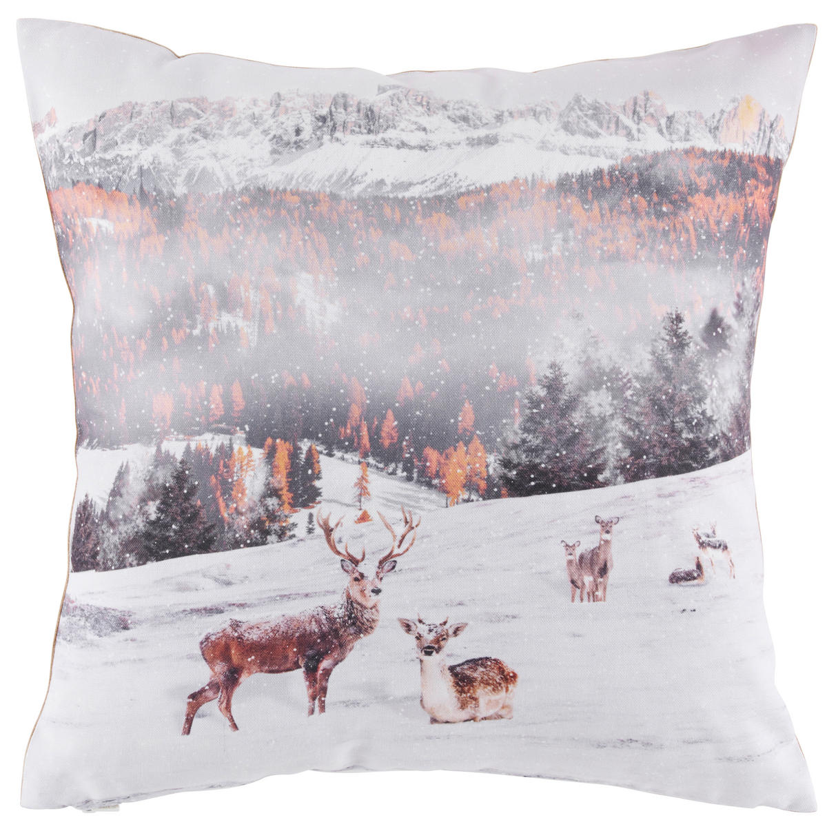 HUSĂ DE PERNĂ 45/45 cm    - multicolor, Konventionell, textil (45/45cm) - X-Mas