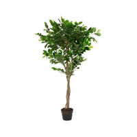 DEKOPFLANZE  - Basics (72/72/120cm) - Ambia Home