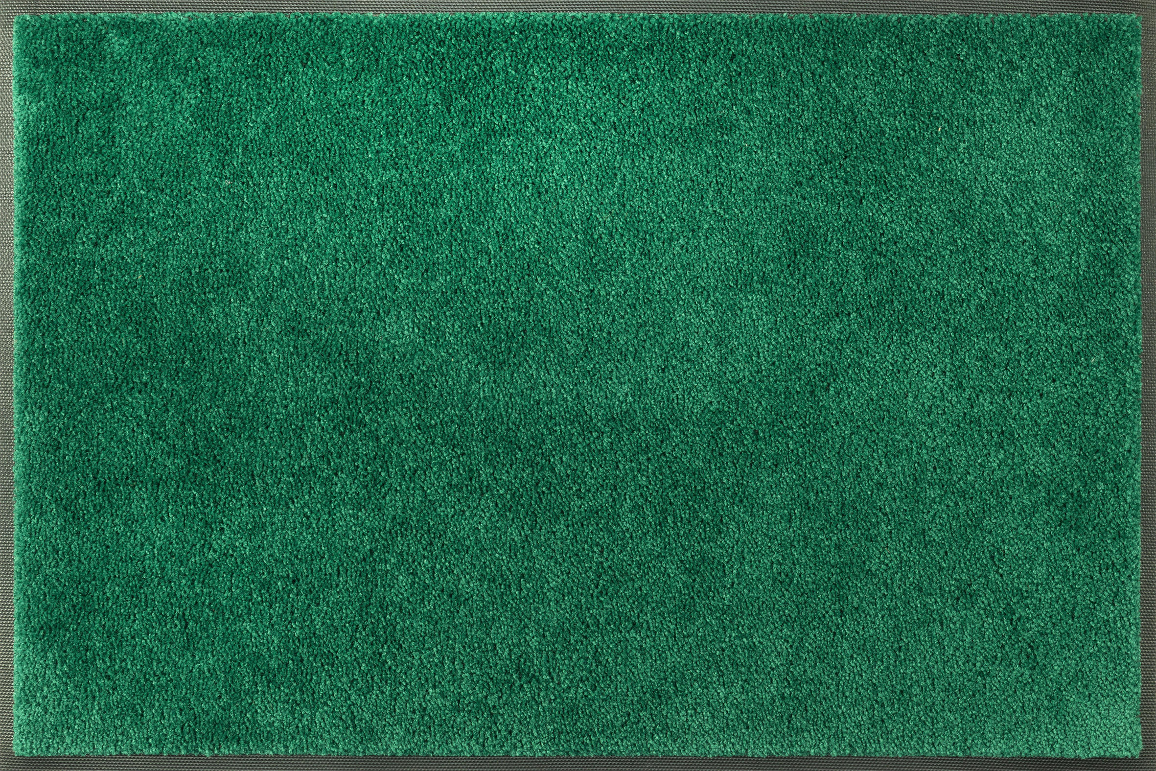 FUSSMATTE  50/75 cm  Grün  Uni  - Grün, KONVENTIONELL, Kunststoff/Textil (50/75cm) - wash+dry